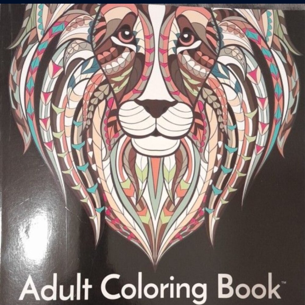 Adult Coloring Book and Colored Pencils Set